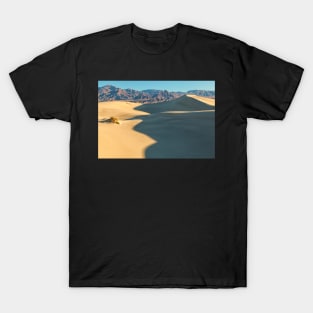 Shadow and Light T-Shirt